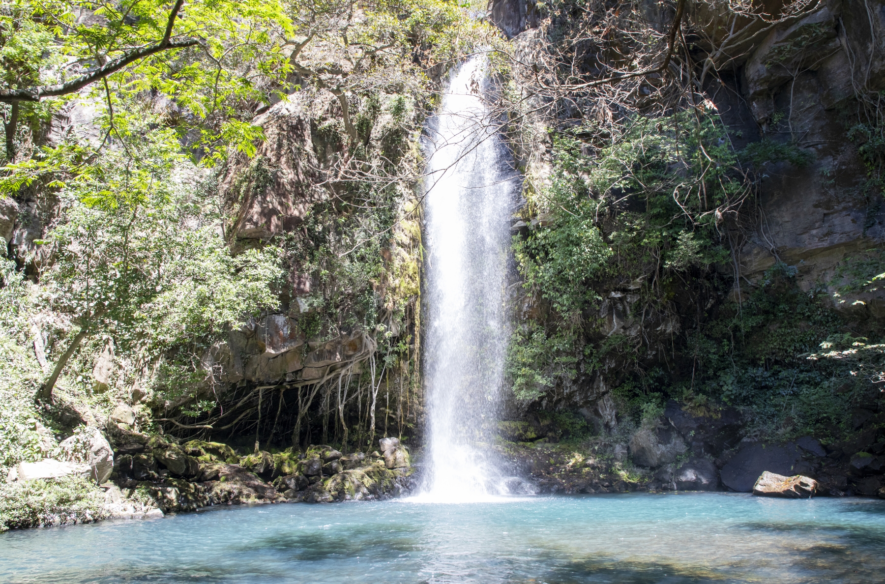 La Cangreja Waterfall, Ricron Nation Park, Costa Rica